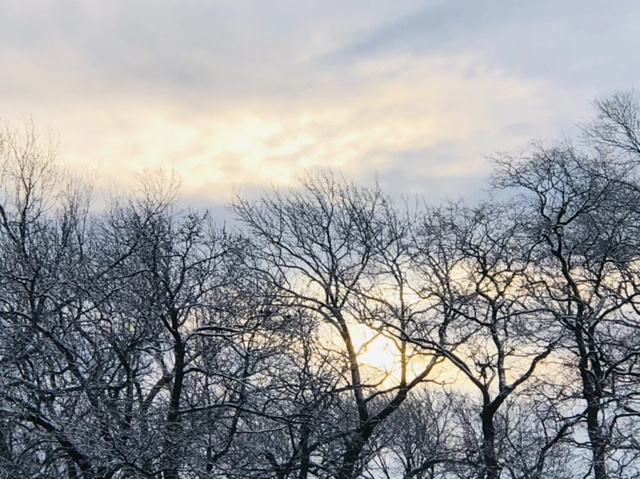 IMG_4540.jpg?type=w966