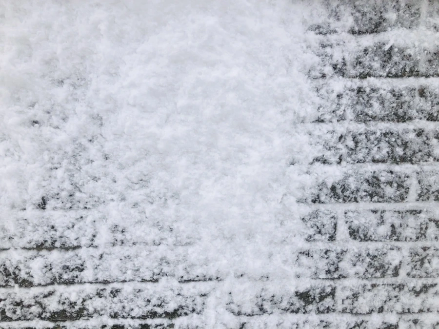 IMG_8974.jpg?type=w966