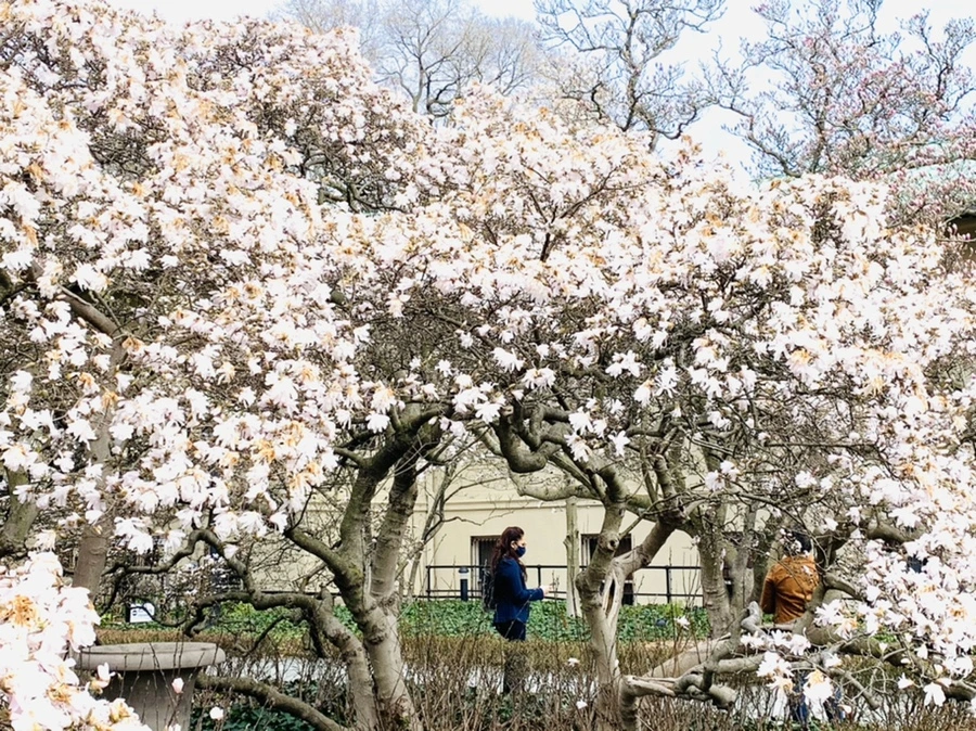 IMG_7176.jpg?type=w966