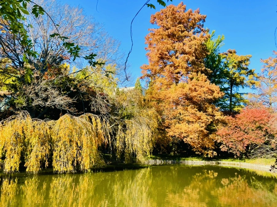 IMG_2025.jpg?type=w966