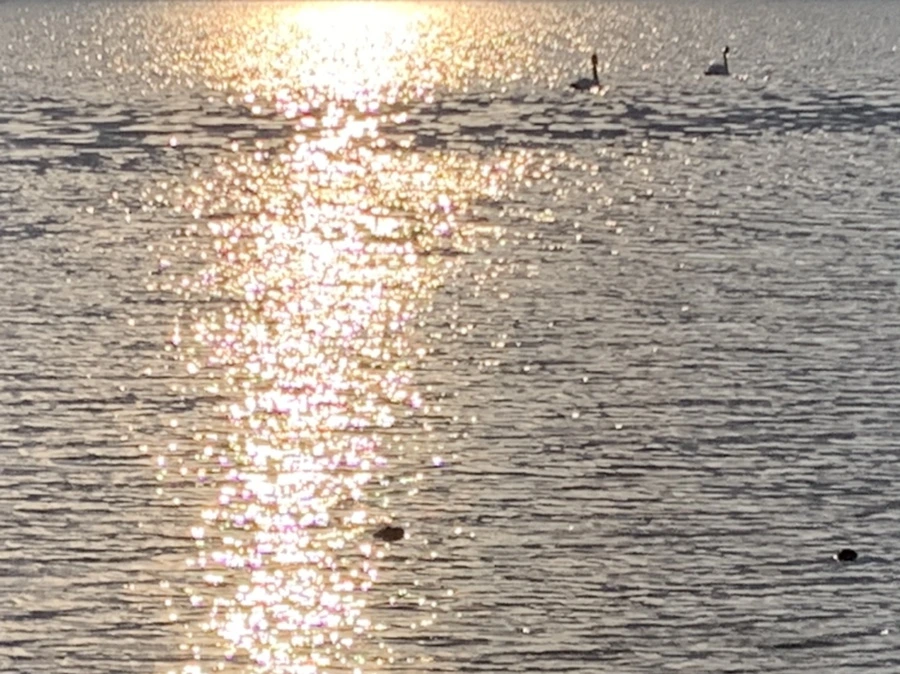 IMG_9977.jpg?type=w966