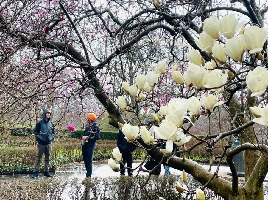 IMG_7365.jpg?type=w966