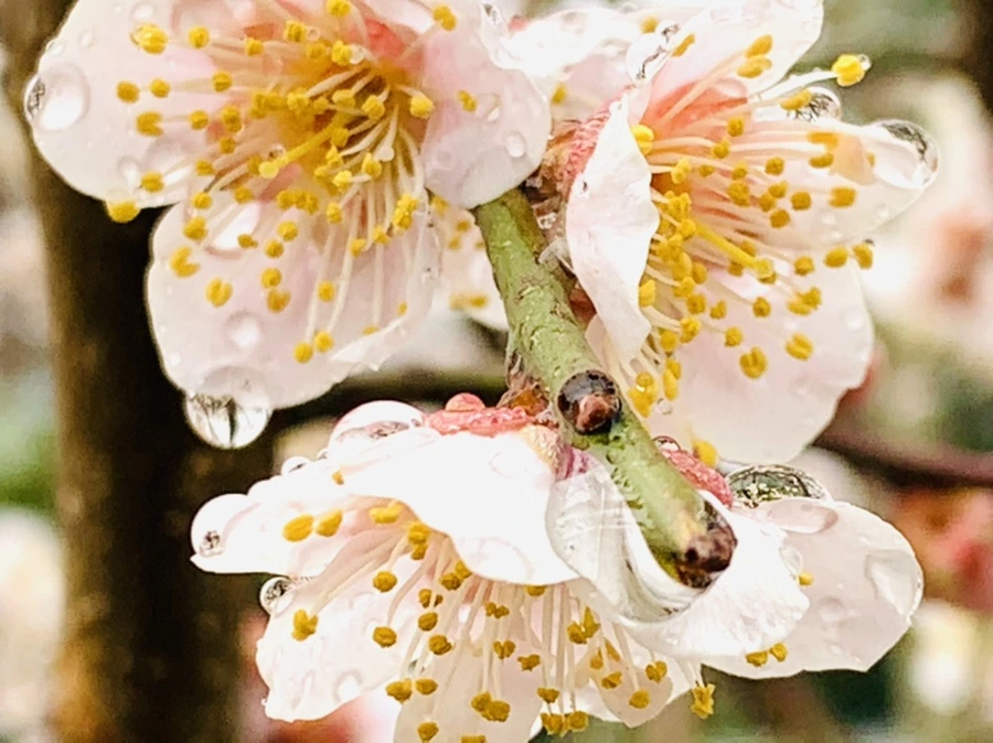 IMG_1881.jpg?type=w966