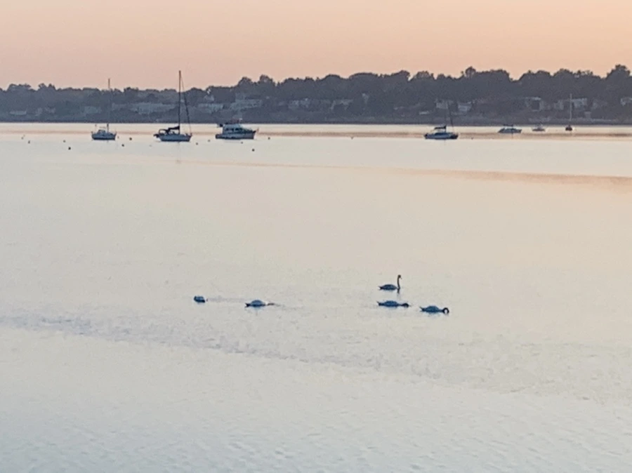 IMG_7232.jpg?type=w966