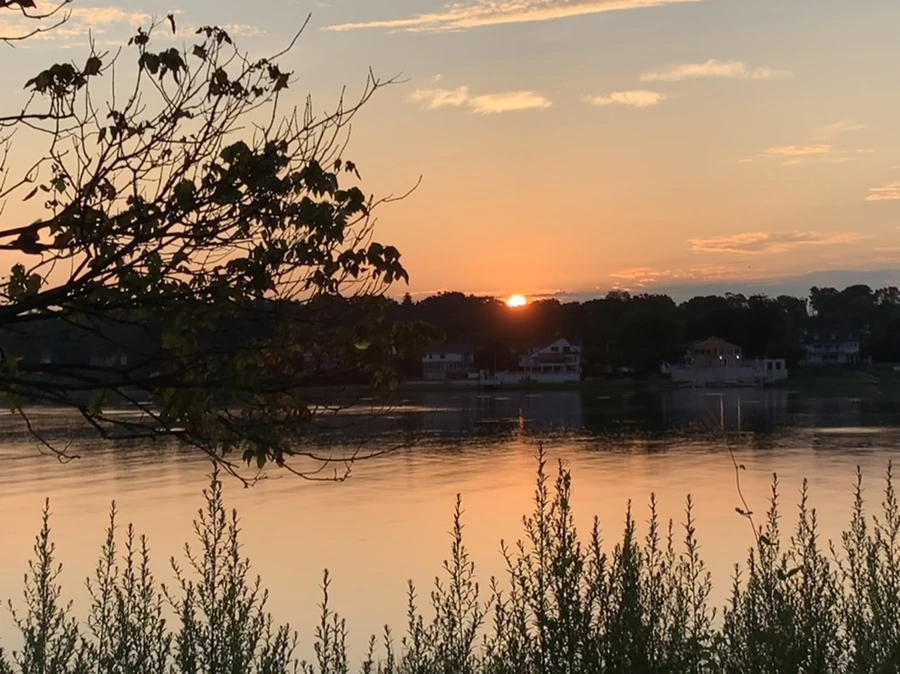 IMG_1255.jpg?type=w966