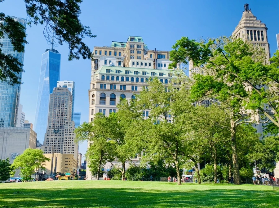 IMG_1162.jpg?type=w966