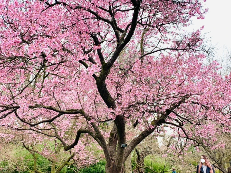 IMG_7035.jpg?type=w966