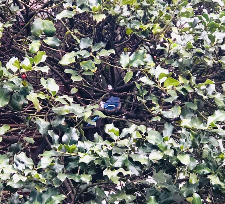 IMG_6337.jpg?type=w966