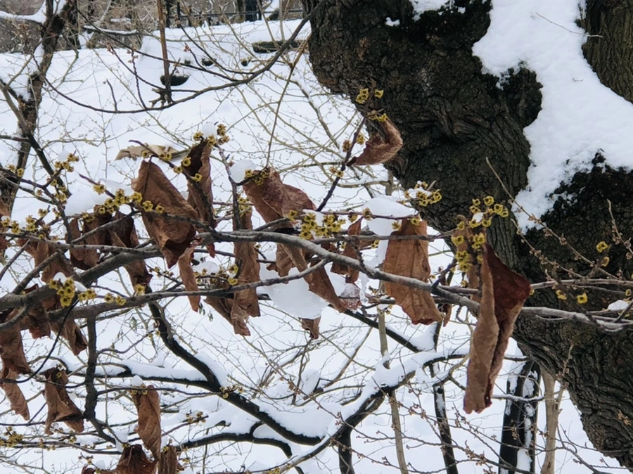 IMG_9571.jpg?type=w966