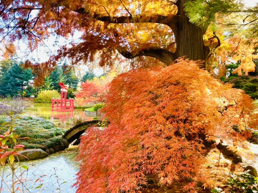 IMG_3181.jpg?type=w966