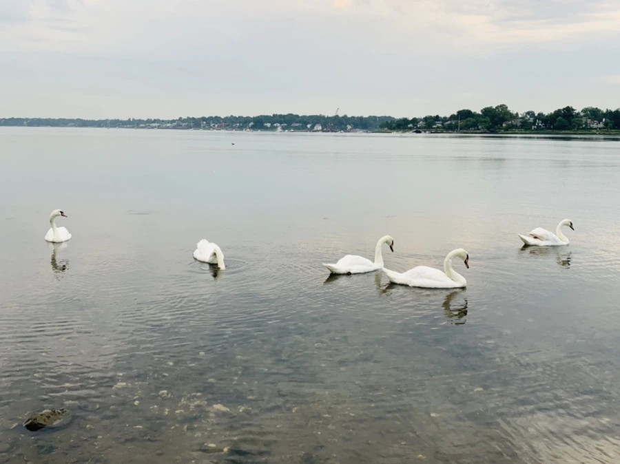 IMG_0321.jpg?type=w966