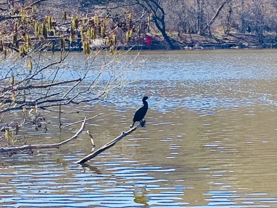 IMG_0712.jpg?type=w966