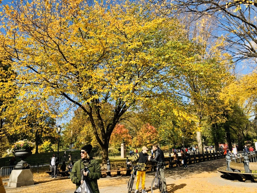 IMG_1773.jpg?type=w966