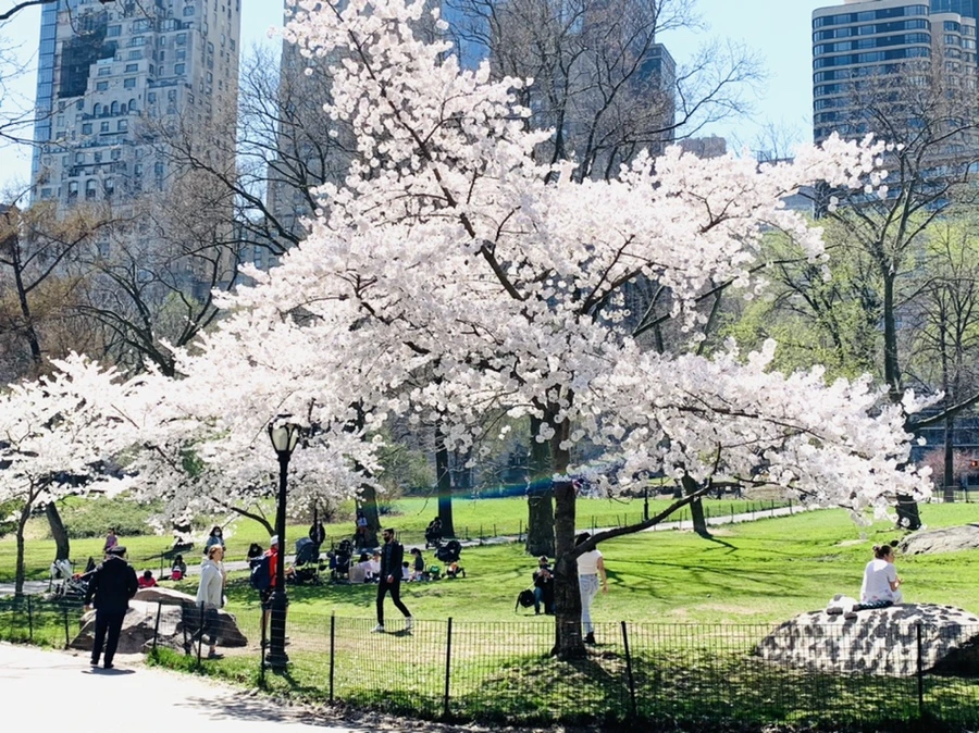 IMG_8897.jpg?type=w966