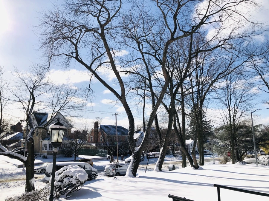 IMG_6954.jpg?type=w966