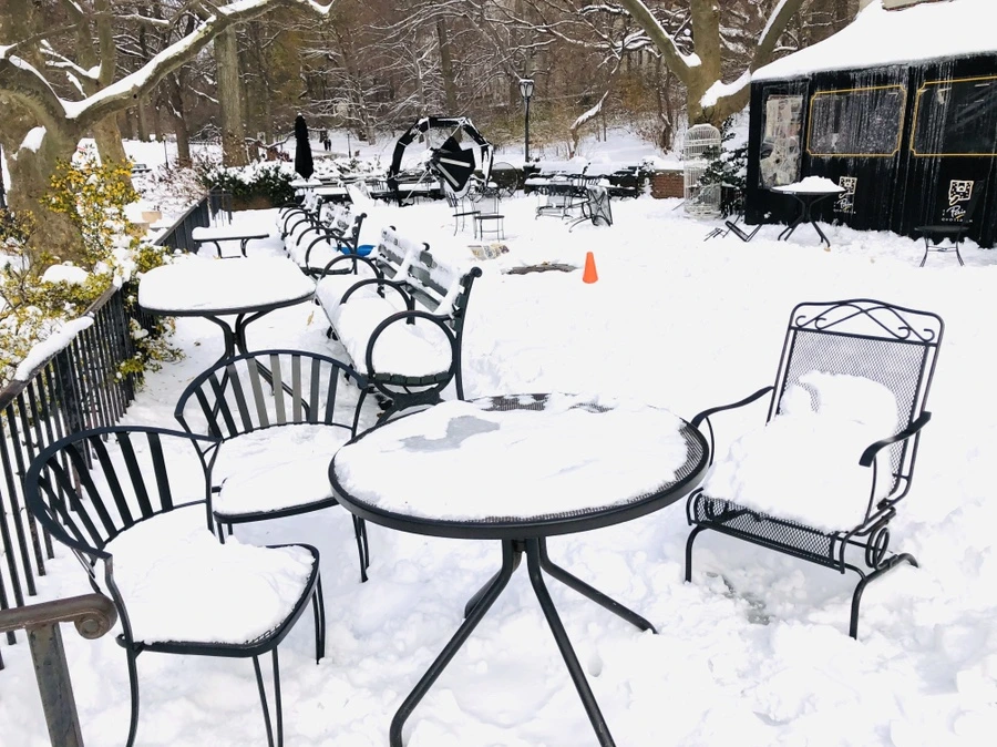 IMG_7259.jpg?type=w966