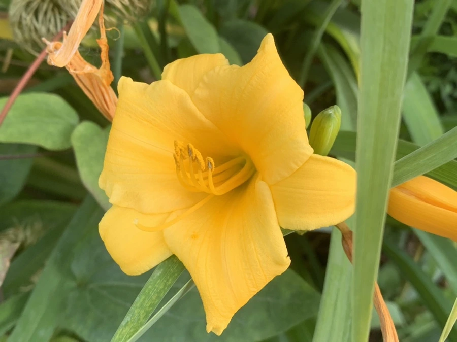 IMG_3959.jpg?type=w966