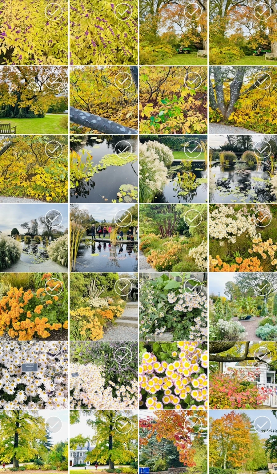 IMG_0423.jpg?type=w966