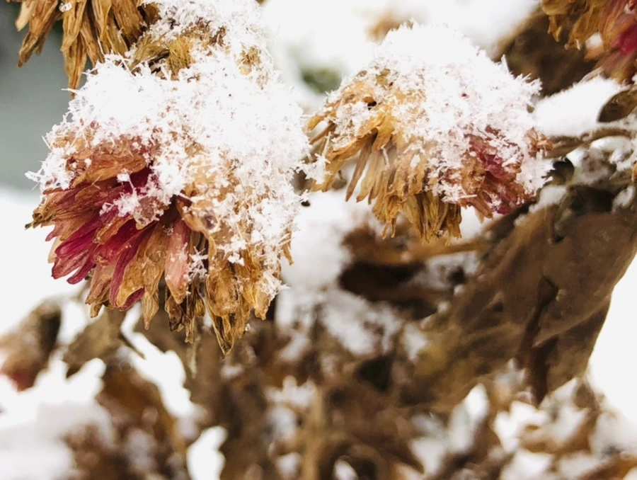 IMG_3442.jpg?type=w966