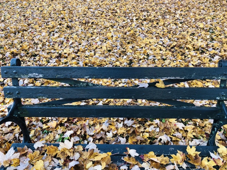 IMG_4103.jpg?type=w966