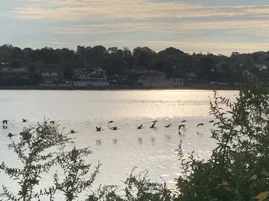 IMG_7849.jpg?type=w966