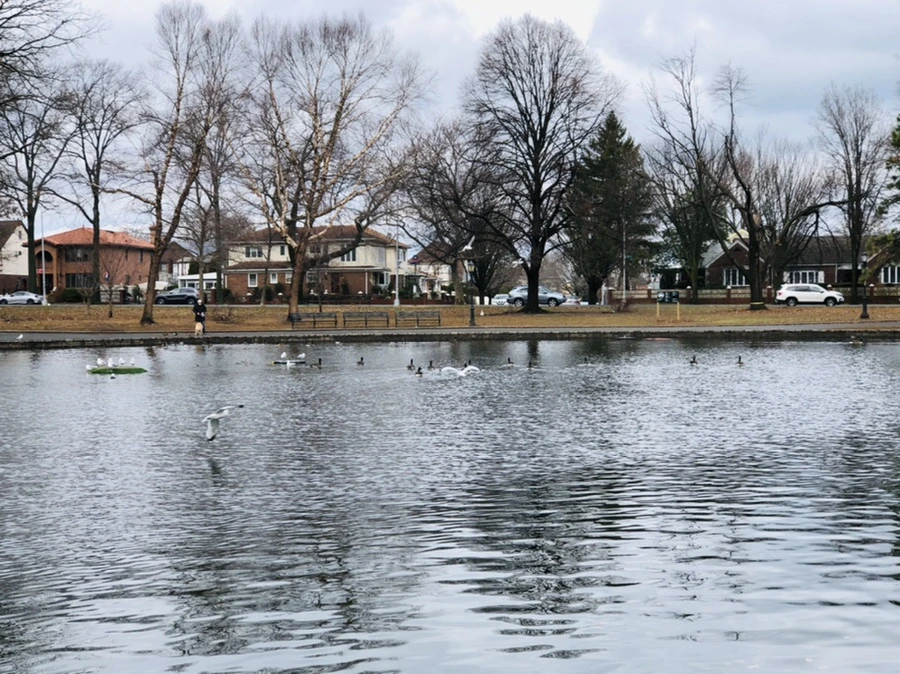 IMG_8654.jpg?type=w966