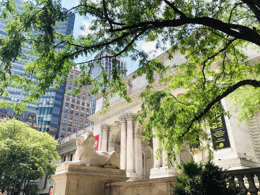 IMG_6322.jpg?type=w966