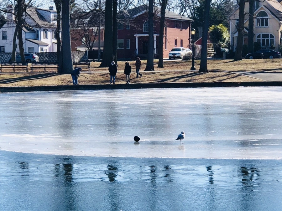 IMG_7812.jpg?type=w966