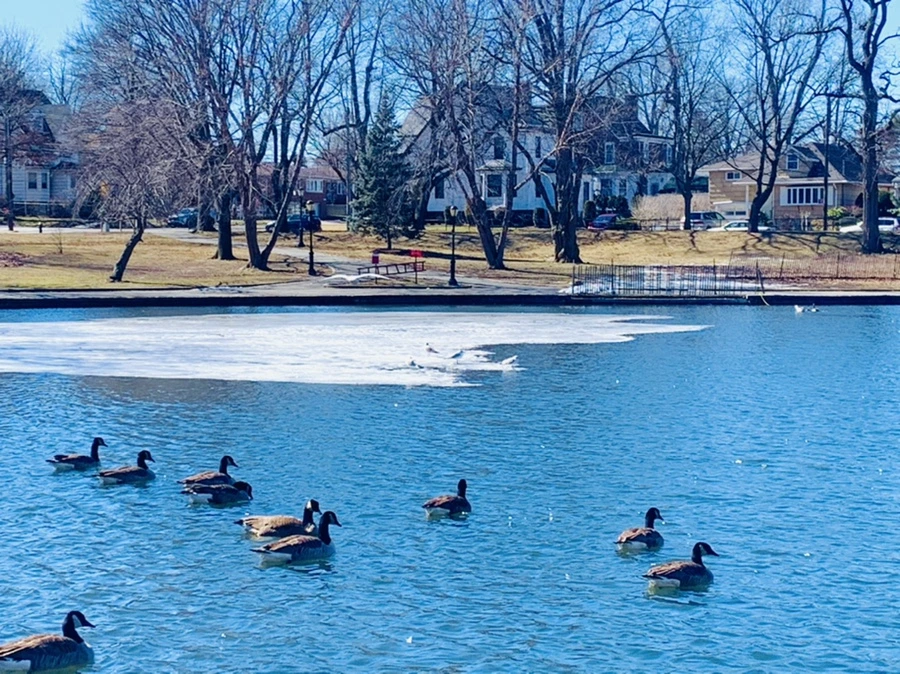 IMG_6760.jpg?type=w966