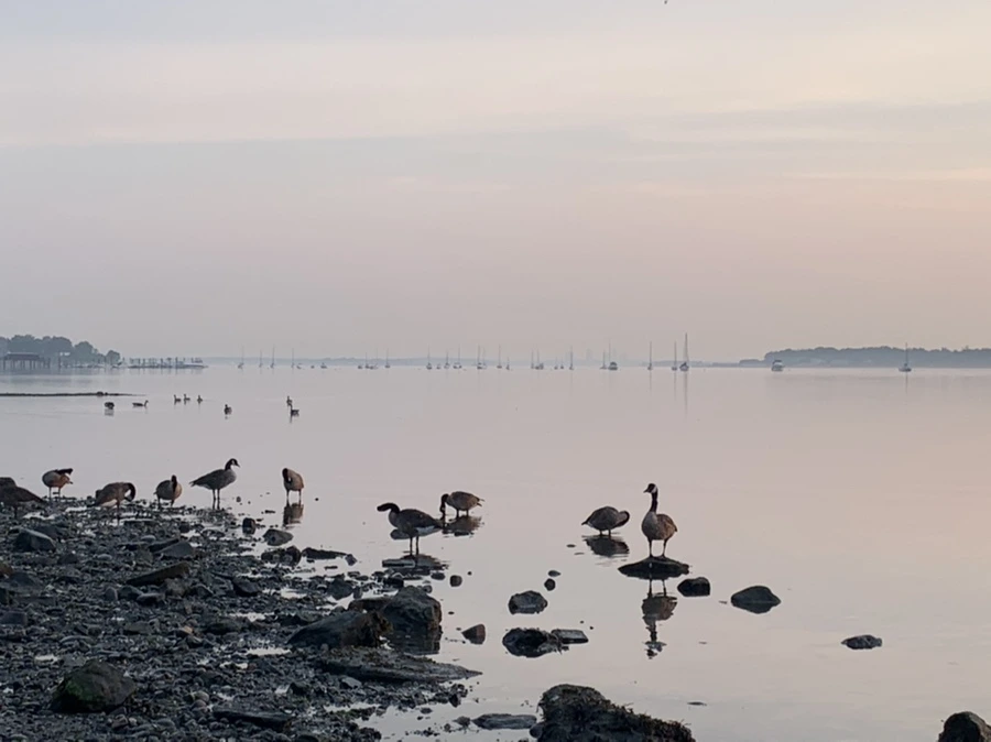 IMG_1426.jpg?type=w966