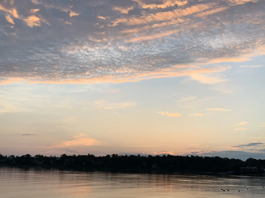 IMG_1200.jpg?type=w966