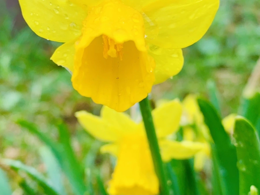 IMG_5023.jpg?type=w966