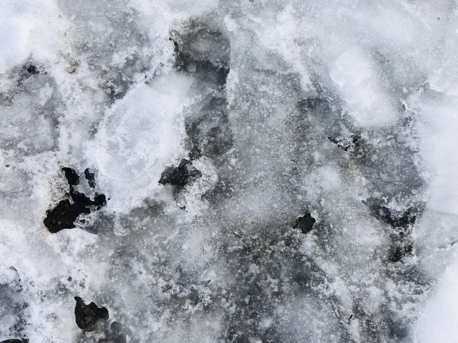 IMG_2847.jpg?type=w966