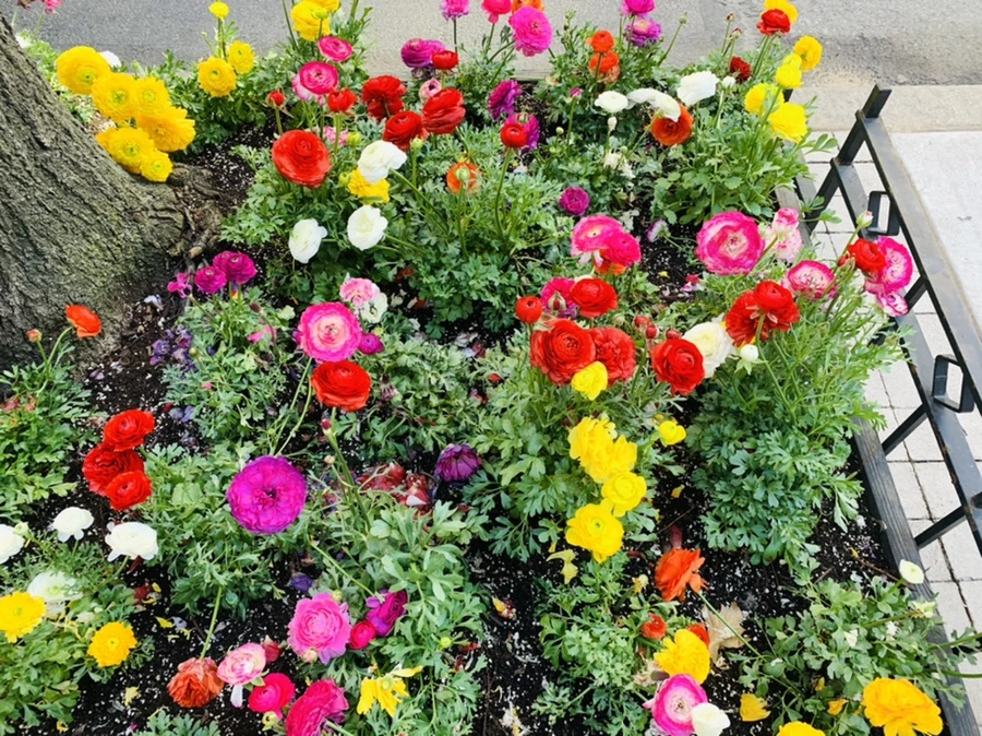 IMG_5416.jpg?type=w966