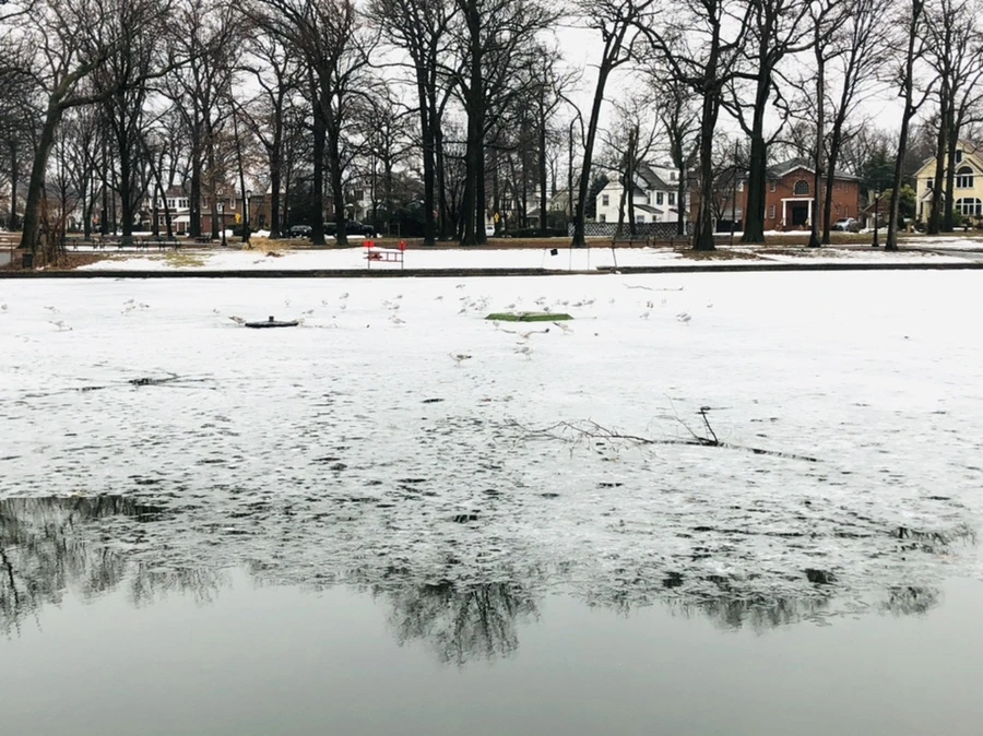 IMG_5543.jpg?type=w966