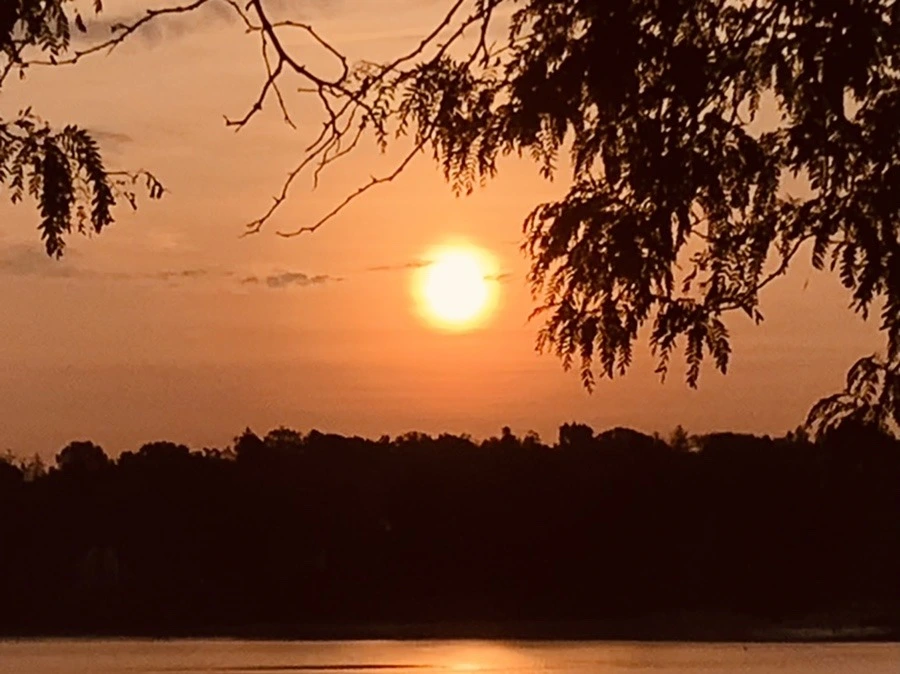 mWvp_vTwDEta0SCwZfzF3rAlWHM