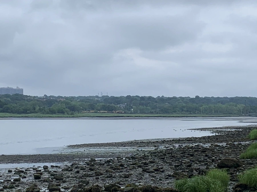 IMG_3692.jpg?type=w966