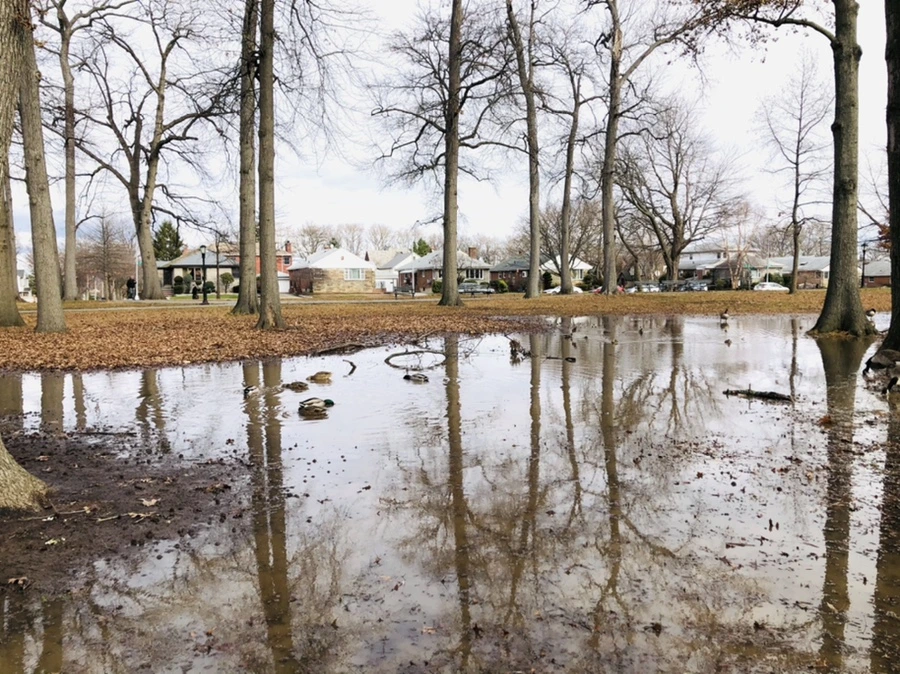 IMG_9920.jpg?type=w966