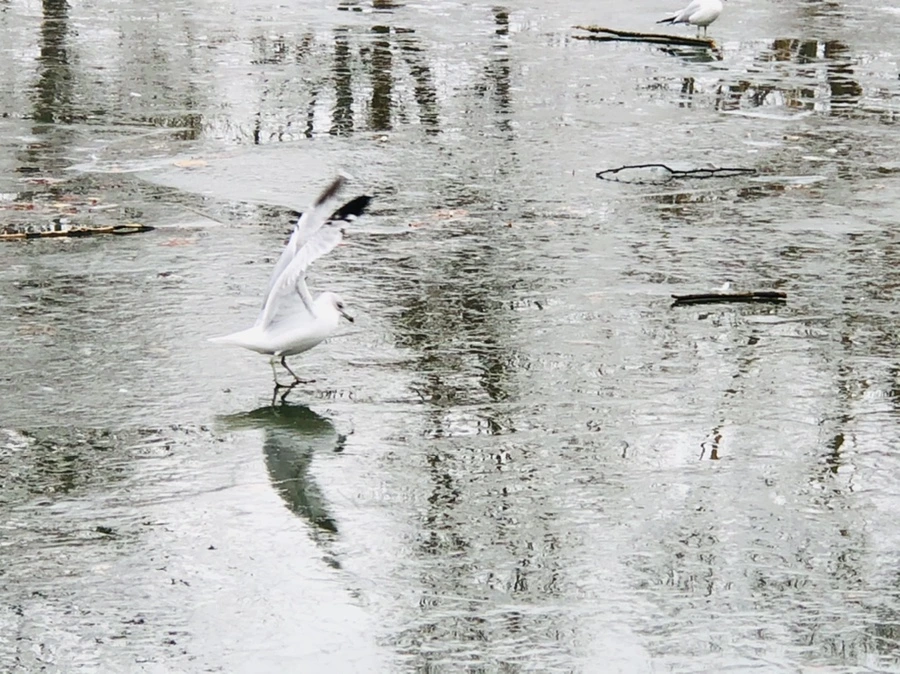 IMG_3140.jpg?type=w966