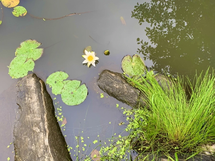 IMG_4857.jpg?type=w966