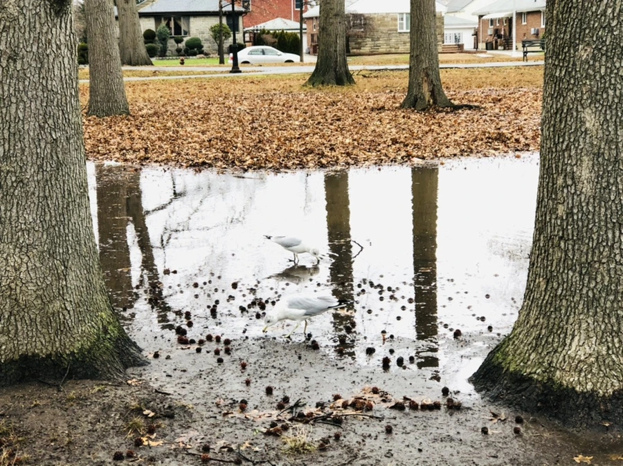 IMG_9407.jpg?type=w966