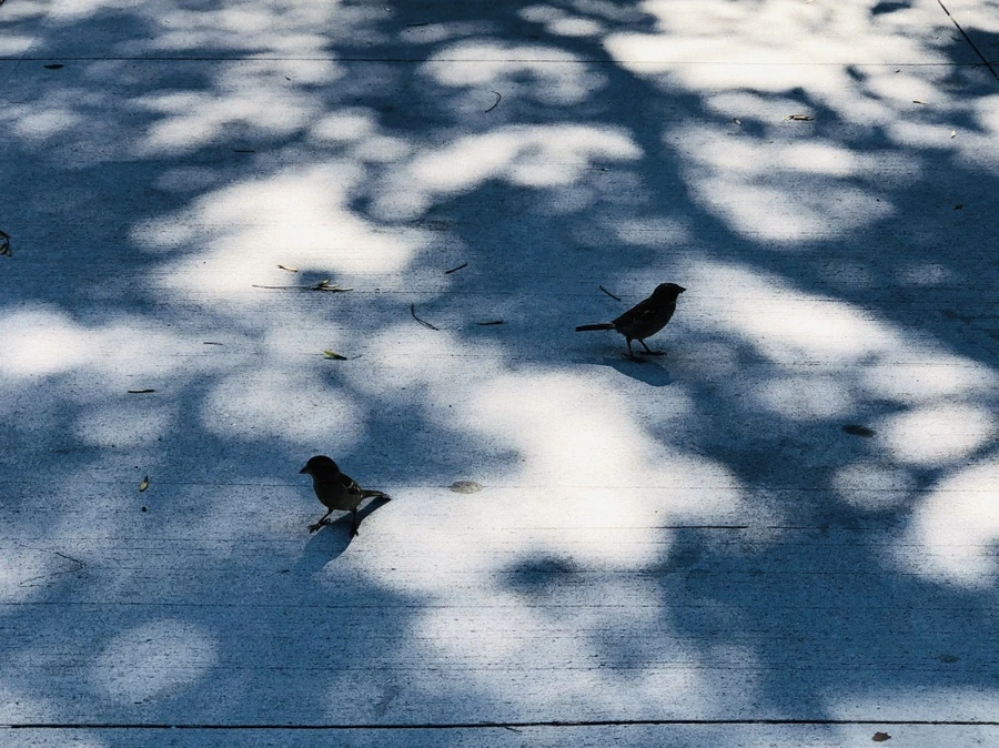 IMG_3477.jpg?type=w966