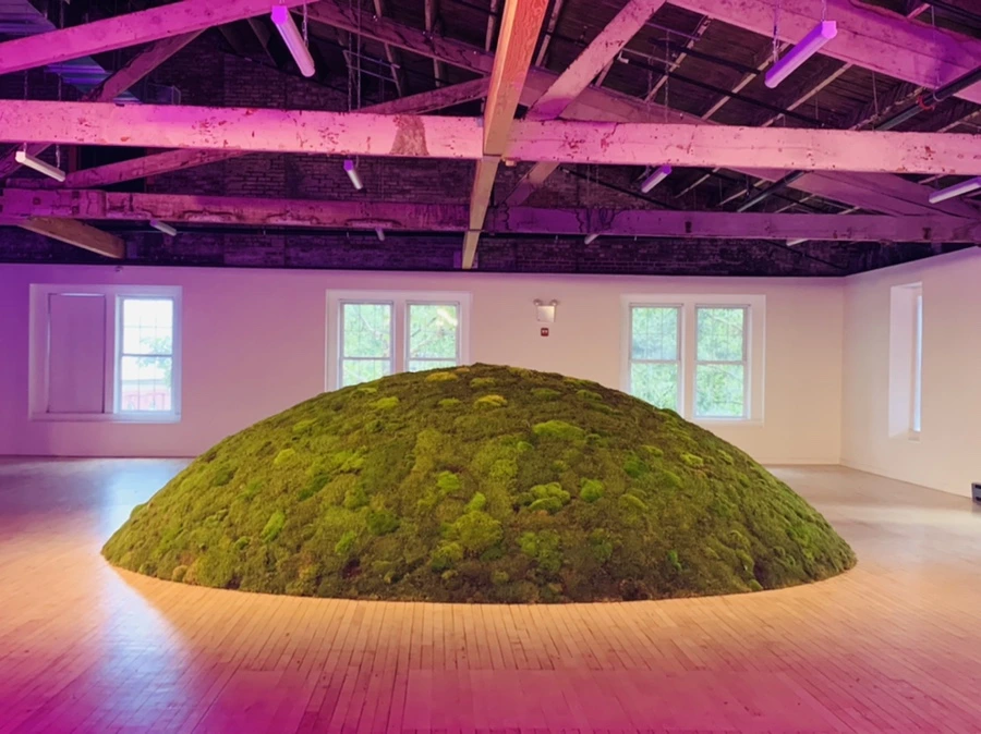 IMG_6791.jpg?type=w966