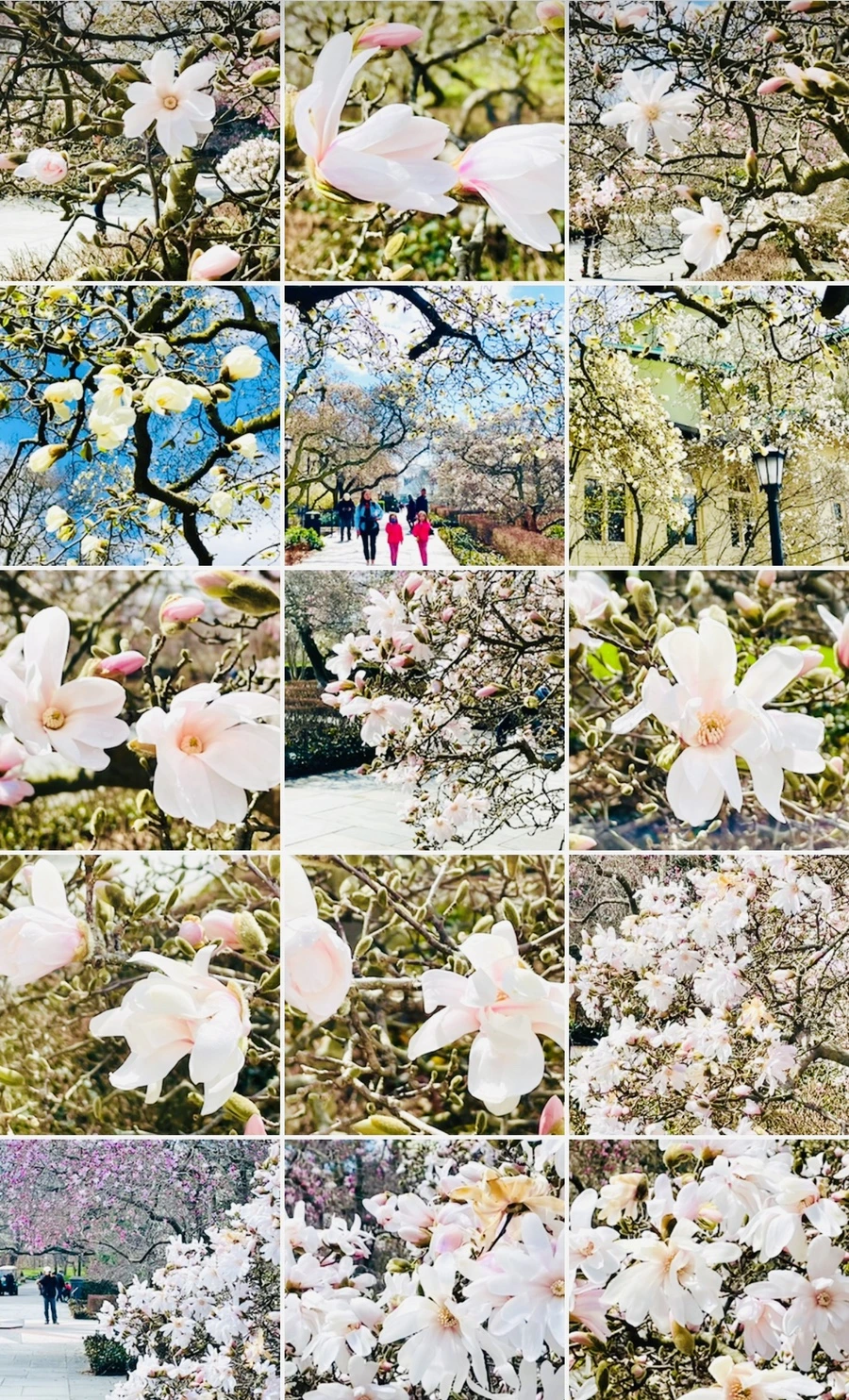 IMG_7306.jpg?type=w966