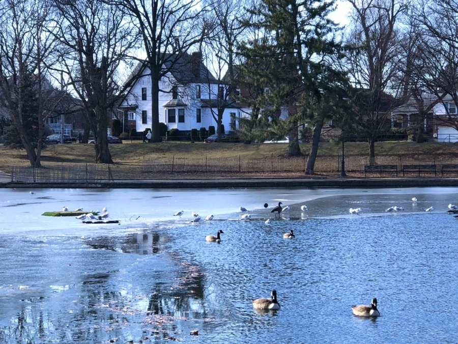 IMG_6577.jpg?type=w966