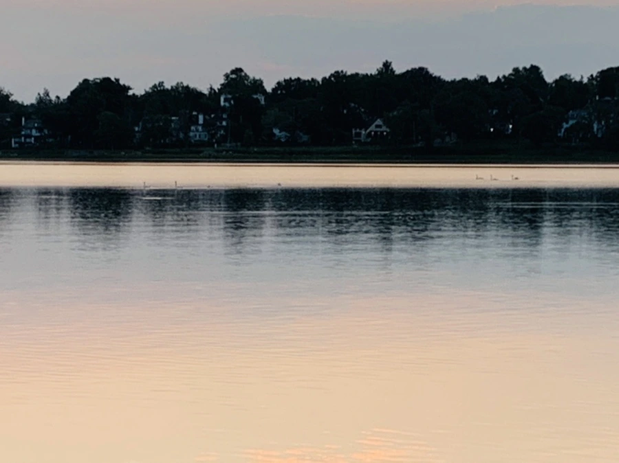 IMG_4589.jpg?type=w966