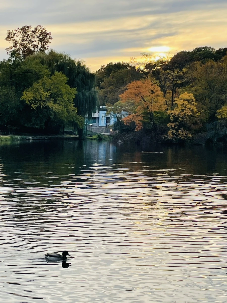 IMG_1311.jpg?type=w966