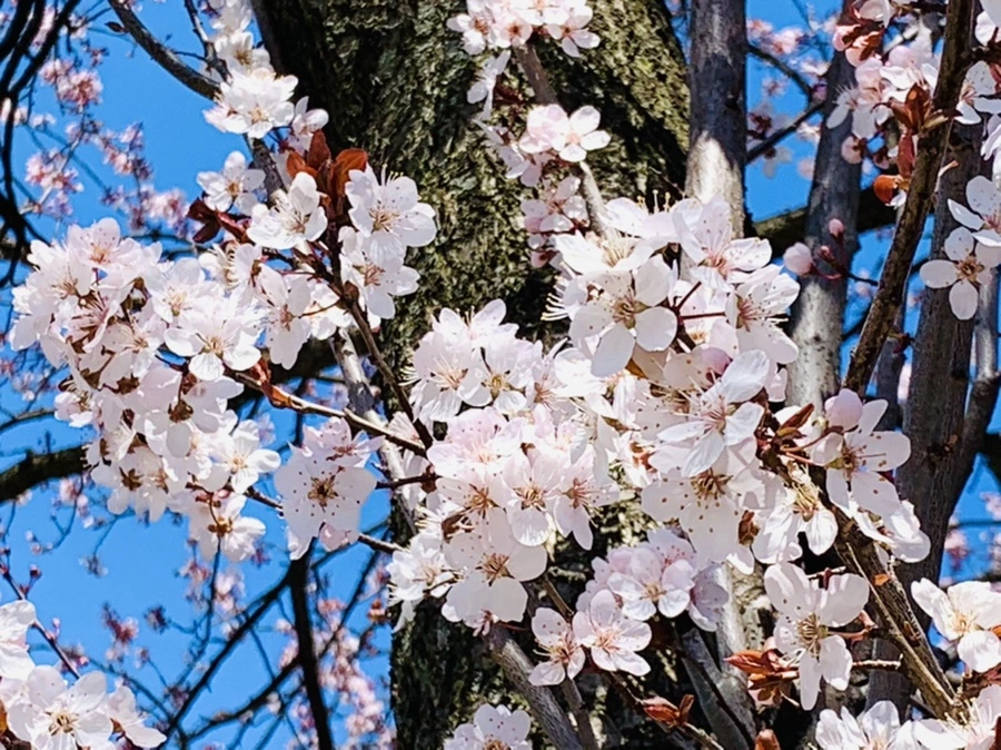 IMG_7727.jpg?type=w966