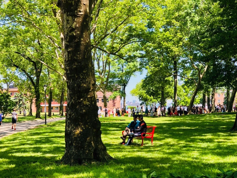 IMG_7953.jpg?type=w966