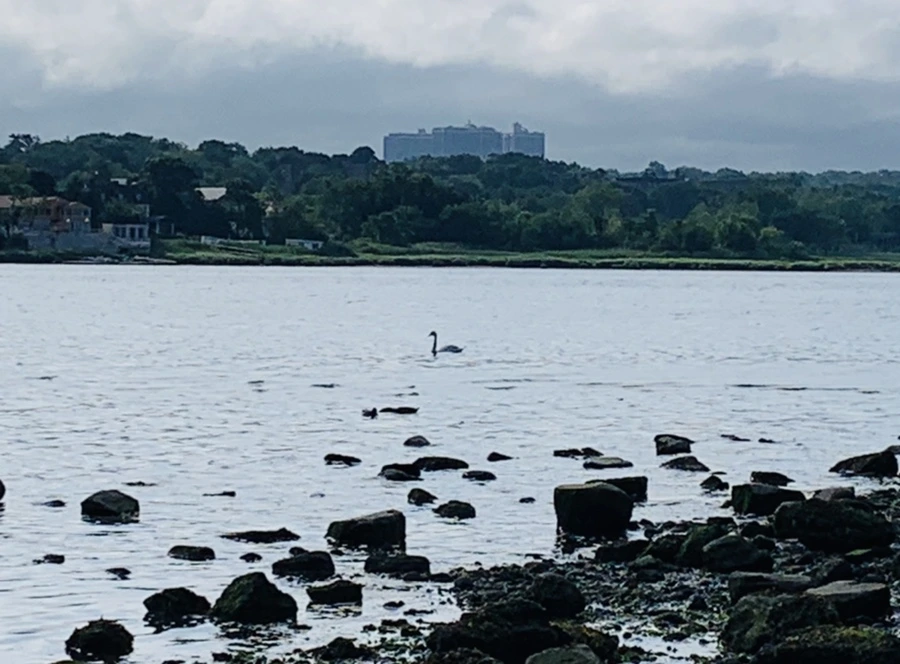 IMG_3229.jpg?type=w966